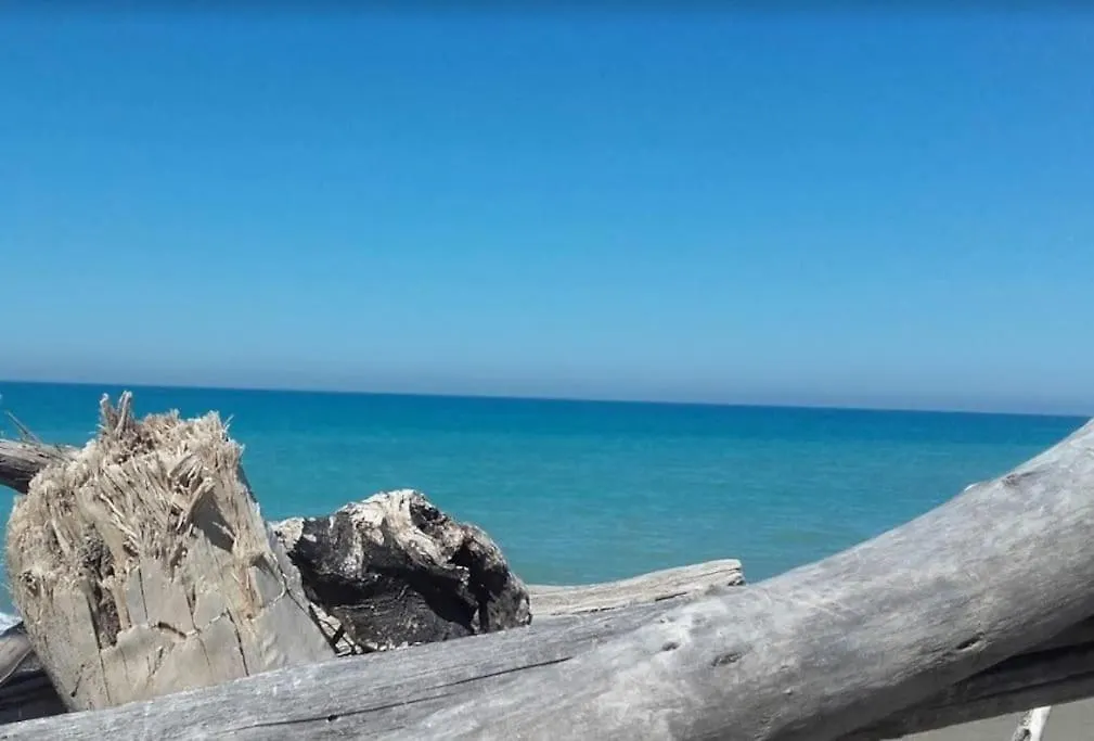 Appartamento Casina Al Mare Cecina
